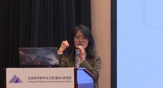 关于丽水茶产业数字化与高质量发展论坛暨“数字茶乡”发布的相关内容(6)