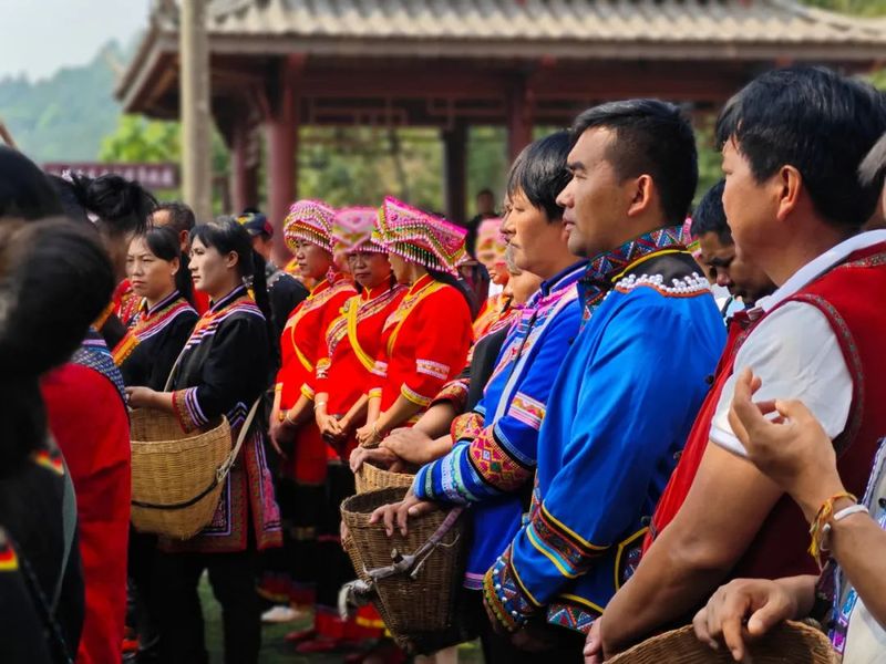 有关于首届“景谷秧塔大白茶”开茶节在景谷民乐举办的内容(3)