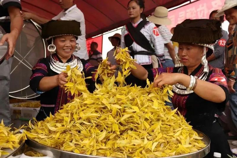 关于凤冈苏贵茶旅一体化茶园入选贵州十佳茶旅一体化示范园的资讯(23)
