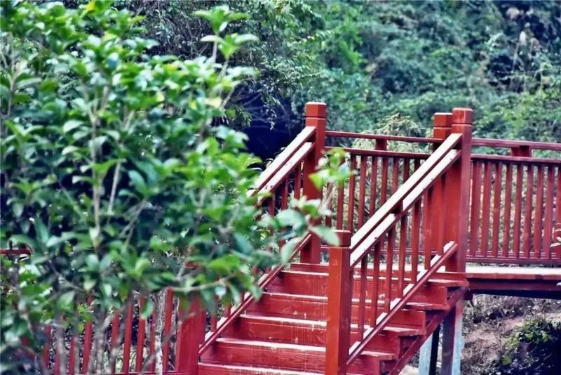 关于凤冈苏贵茶旅一体化茶园入选贵州十佳茶旅一体化示范园的资讯(3)