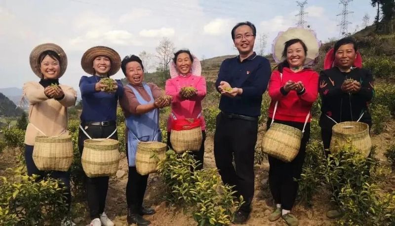 关于凤冈苏贵茶旅一体化茶园入选贵州十佳茶旅一体化示范园的资讯(24)