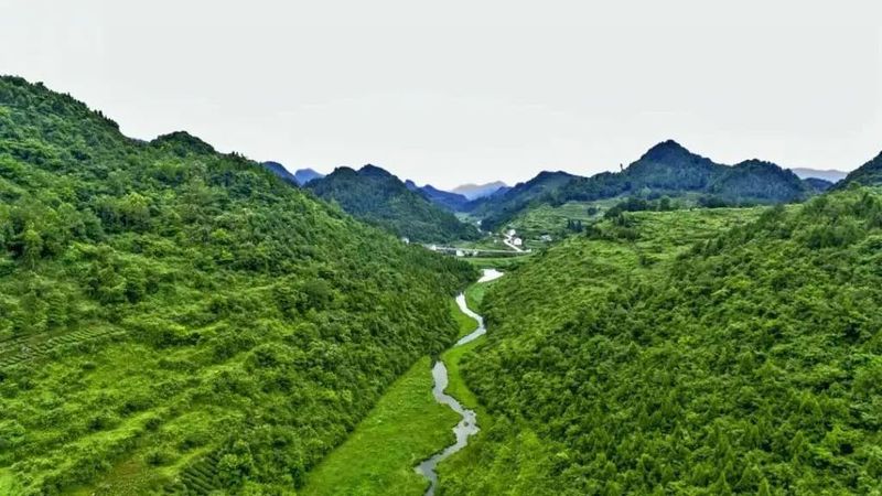 关于凤冈苏贵茶旅一体化茶园入选贵州十佳茶旅一体化示范园的资讯(5)