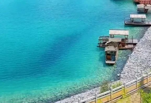 关于凤冈苏贵茶旅一体化茶园入选贵州十佳茶旅一体化示范园的资讯(26)