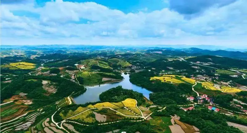 关于凤冈苏贵茶旅一体化茶园入选贵州十佳茶旅一体化示范园的资讯(8)