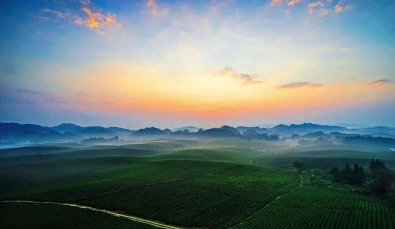 关于凤冈苏贵茶旅一体化茶园入选贵州十佳茶旅一体化示范园的资讯