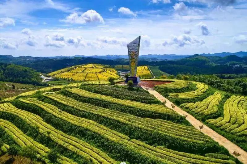 关于凤冈苏贵茶旅一体化茶园入选贵州十佳茶旅一体化示范园的资讯(6)
