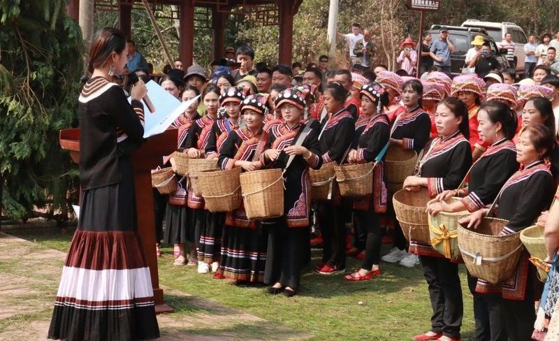 有关于景谷举行首届“秧塔大白茶”开采节的相关信息(3)