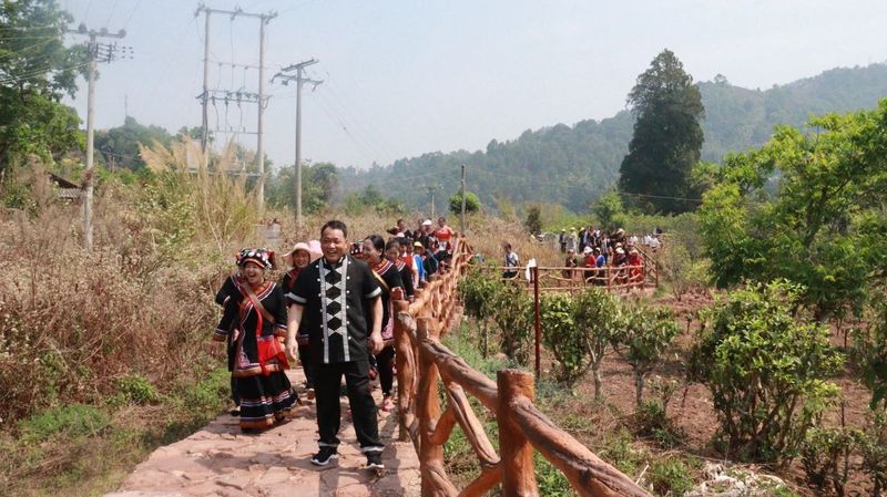 有关于景谷举行首届“秧塔大白茶”开采节的相关信息(4)