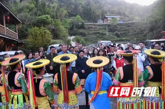 关于隆回：瑶山茶叶香 文旅推荐忙的最新消息(1)