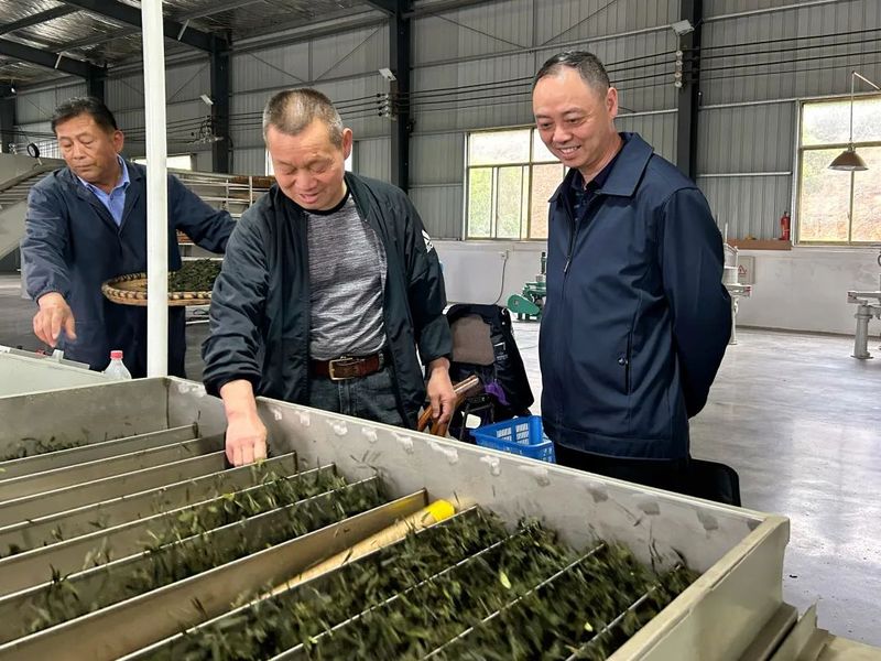 关于湖北省人大代表陈学友——“茶叶书记”的“法治经”的信息(2)