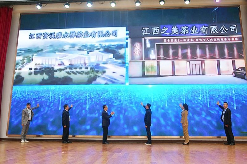 有关于南方嘉木 江西好茶 第九届资溪有机白茶文化节隆重举行的资讯(12)