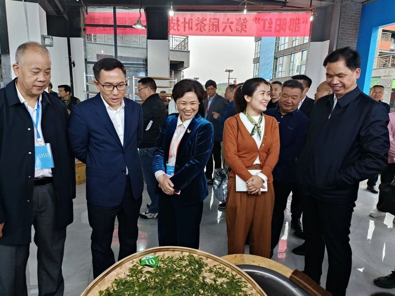 关于2023年“邵阳红”第六届茶叶技能大赛在新宁隆重举行的相关信息(4)