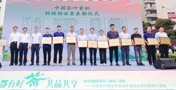 有关于2023国际茶日，中茶×咸丰白茶携手，开启湖北茶突围新密码的相关信息(12)