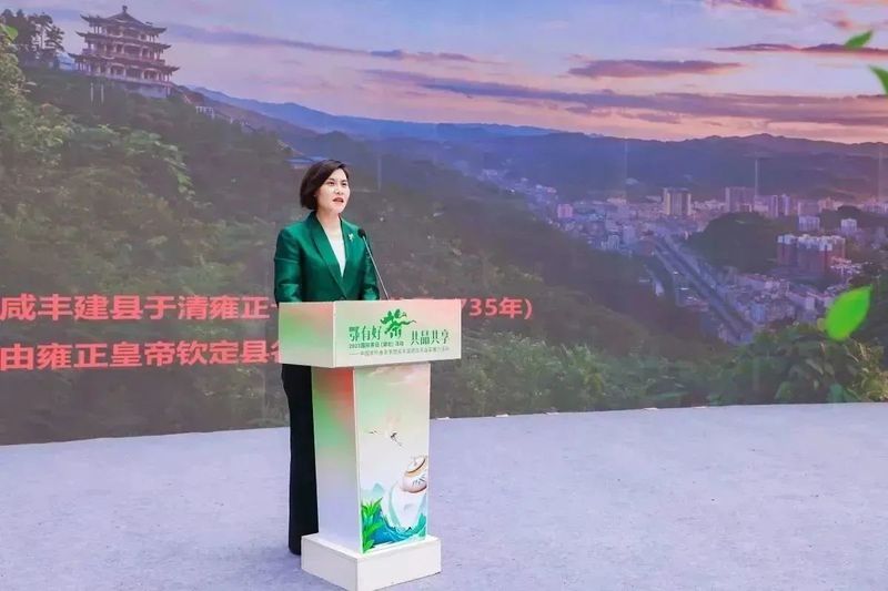 有关于2023国际茶日，中茶×咸丰白茶携手，开启湖北茶突围新密码的相关信息(9)