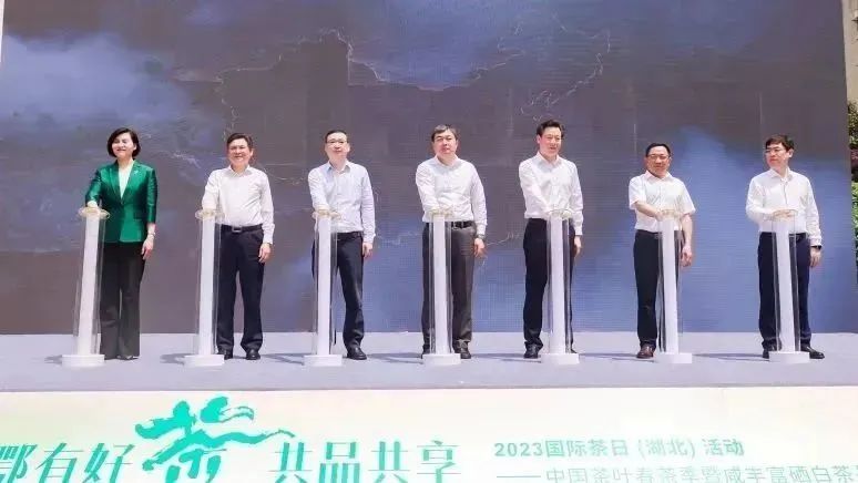 有关于2023国际茶日，中茶×咸丰白茶携手，开启湖北茶突围新密码的相关信息