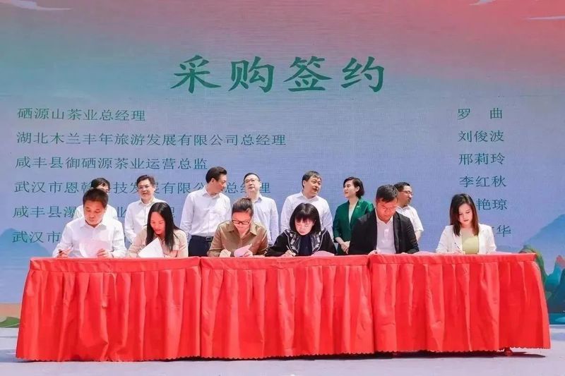 有关于2023国际茶日，中茶×咸丰白茶携手，开启湖北茶突围新密码的相关信息(8)