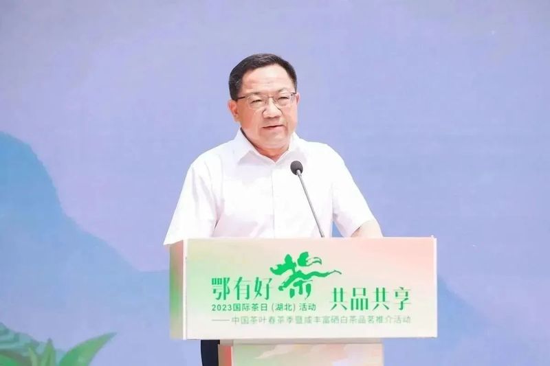 有关于2023国际茶日，中茶×咸丰白茶携手，开启湖北茶突围新密码的相关信息(17)