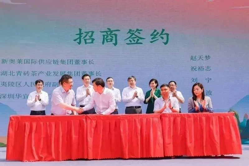 有关于2023国际茶日，中茶×咸丰白茶携手，开启湖北茶突围新密码的相关信息(6)