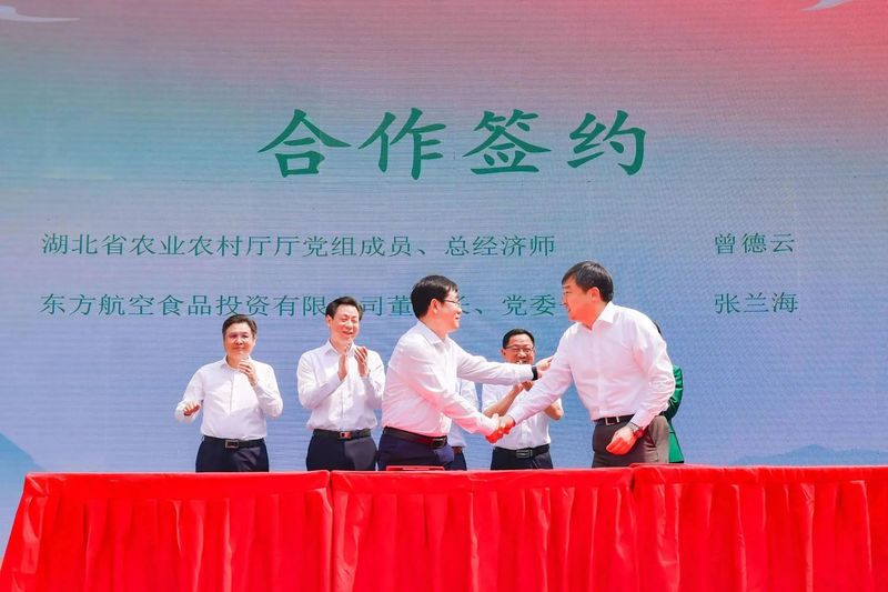 有关于2023国际茶日，中茶×咸丰白茶携手，开启湖北茶突围新密码的相关信息(5)