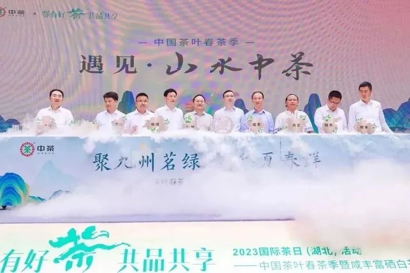 有关于2023国际茶日，中茶×咸丰白茶携手，开启湖北茶突围新密码的相关信息(11)