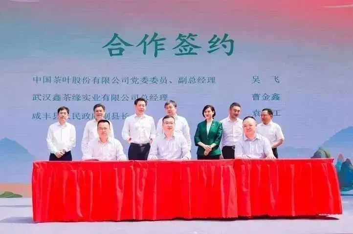 有关于2023国际茶日，中茶×咸丰白茶携手，开启湖北茶突围新密码的相关信息(3)