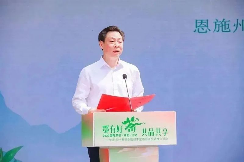 有关于2023国际茶日，中茶×咸丰白茶携手，开启湖北茶突围新密码的相关信息(2)