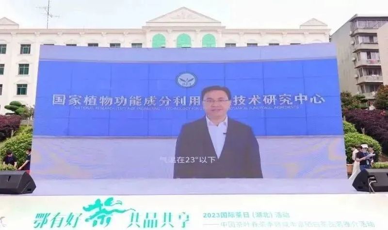 有关于2023国际茶日，中茶×咸丰白茶携手，开启湖北茶突围新密码的相关信息(10)