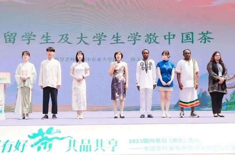 有关于2023国际茶日，中茶×咸丰白茶携手，开启湖北茶突围新密码的相关信息(13)