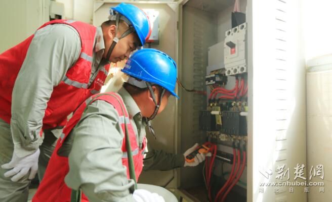 关于武汉新洲：“红马甲”护航春茶平稳生产，“放心电”为乡村振兴赋能的内容(1)