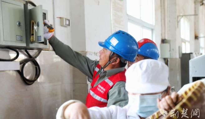 关于武汉新洲：“红马甲”护航春茶平稳生产，“放心电”为乡村振兴赋能的内容