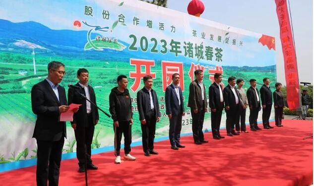 有关于首批诸城抹茶出口发运仪式暨2023年诸城春茶开园仪式在桃林镇顺利举行的信息(4)