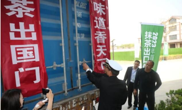 有关于首批诸城抹茶出口发运仪式暨2023年诸城春茶开园仪式在桃林镇顺利举行的信息(2)