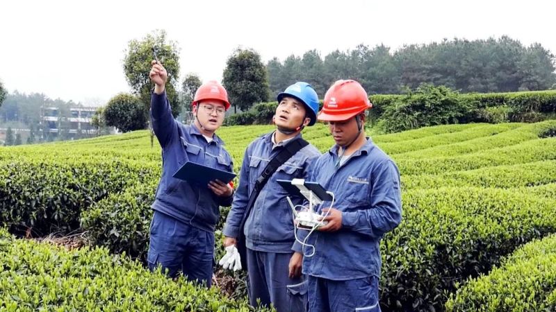 有关于凤冈：茶产业发展电力十足的相关信息(2)