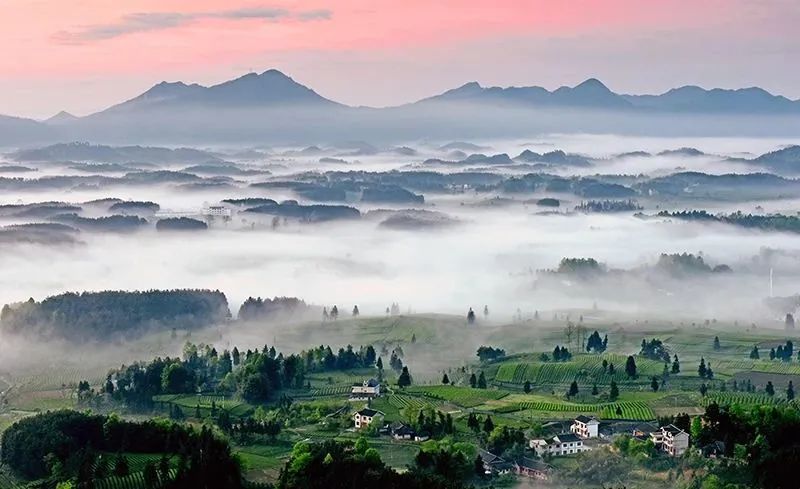 有关于凤冈：茶产业发展电力十足的相关信息