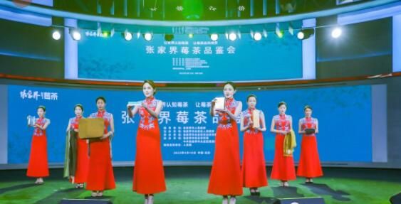 关于小茶叶“长成”大产业 张家界莓茶品鉴会在北京举办的消息(11)
