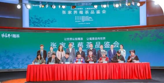 关于小茶叶“长成”大产业 张家界莓茶品鉴会在北京举办的消息(8)