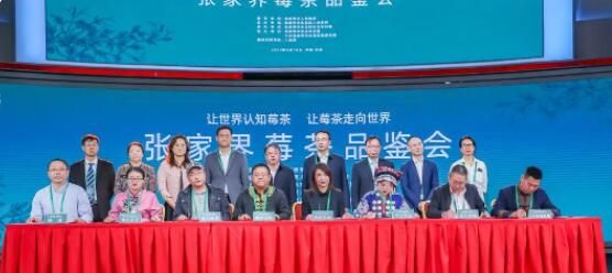 关于小茶叶“长成”大产业 张家界莓茶品鉴会在北京举办的消息(9)