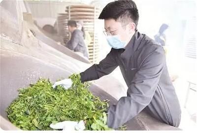 有关于田园镇：生态润茶香 绿色树品牌的内容(1)