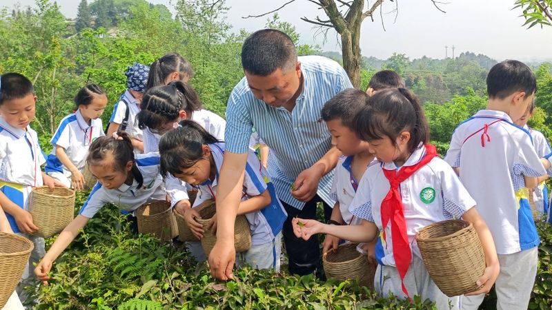 有关于青城问茶·茶香古堰 中国·都江堰第十七届（2023）青城三月三采茶节暨缤纷茶旅季开幕的相关信息(12)