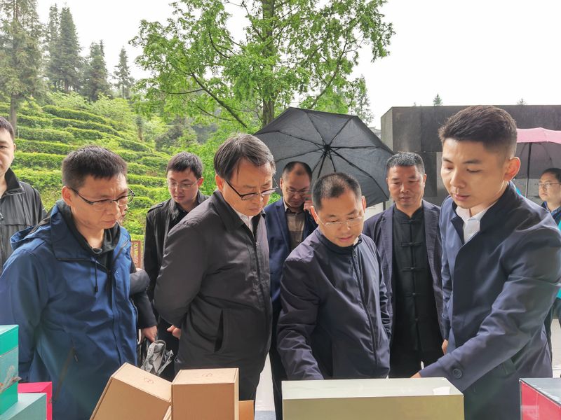 有关于青城问茶·茶香古堰 中国·都江堰第十七届（2023）青城三月三采茶节暨缤纷茶旅季开幕的相关信息(3)