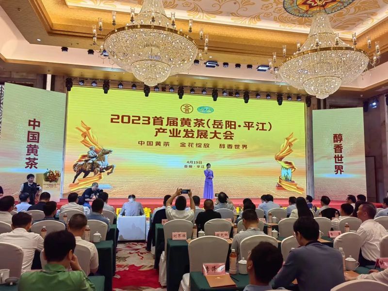 关于一周速读：双江三茶统筹、首届秧塔大白茶、欧标茶园标准正式发布的内容(5)