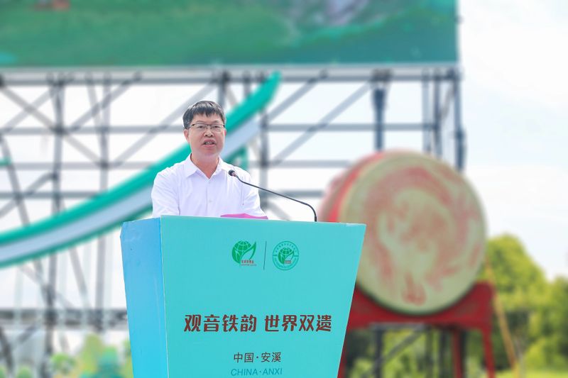 关于“世界双遗”带火观音铁韵，“三茶”统筹绘就茶业盛景的相关信息(4)