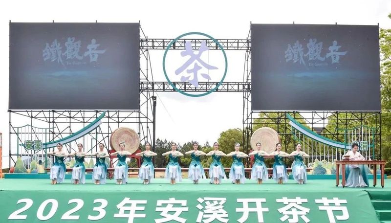 关于“世界双遗”带火观音铁韵，“三茶”统筹绘就茶业盛景的相关信息(13)