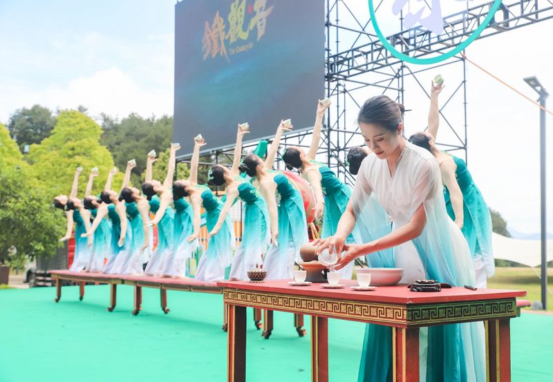 关于“世界双遗”带火观音铁韵，“三茶”统筹绘就茶业盛景的相关信息(12)