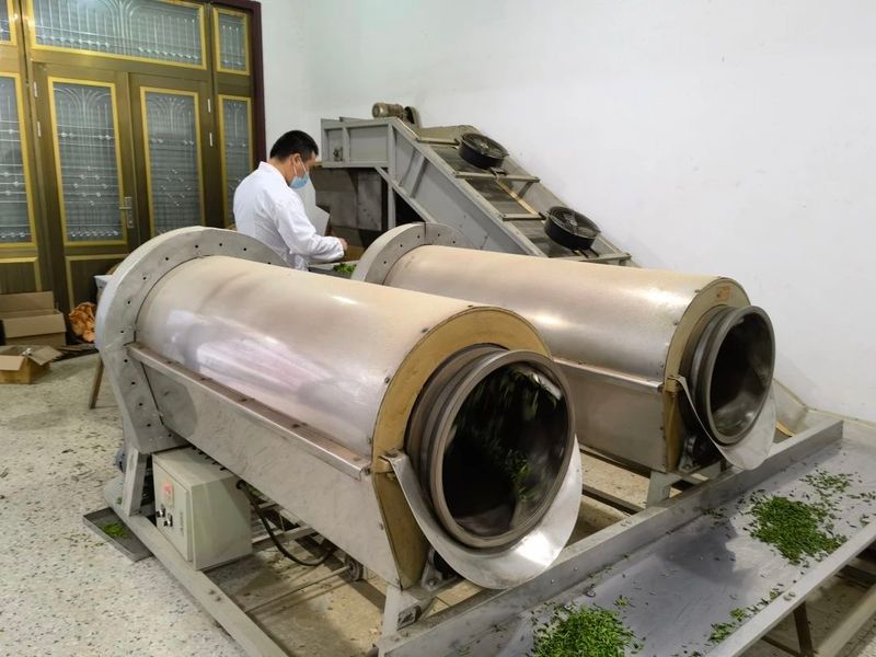 关于走进茶区———江苏省茶叶学会专家考察连云港茶产业的信息(1)