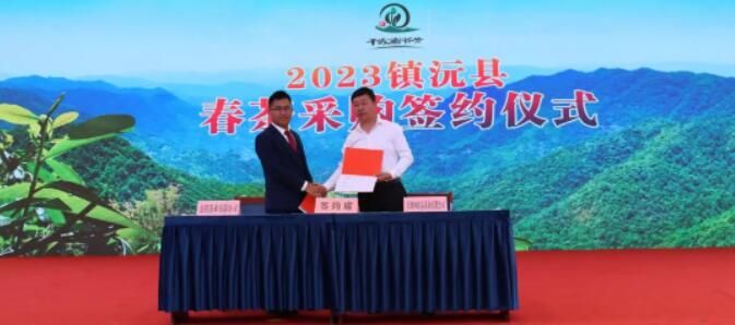 关于品茶香 论茶道 商茶事“穿越哀牢·感受无量·品千家寨爷号普洱茶”推介会在镇沅开幕的相关信息(8)