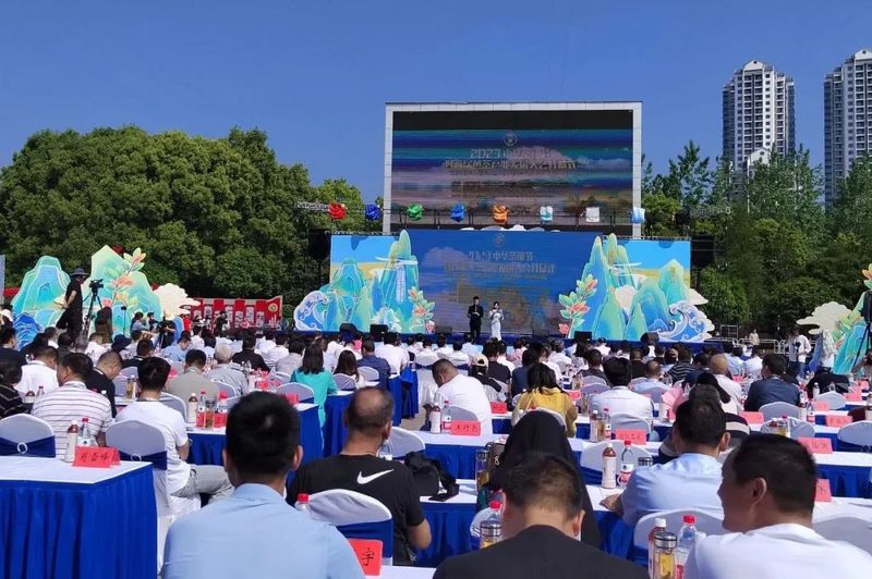 关于岳阳黄茶火出圈！产量和产值占全国黄茶产业半壁江山！的新闻