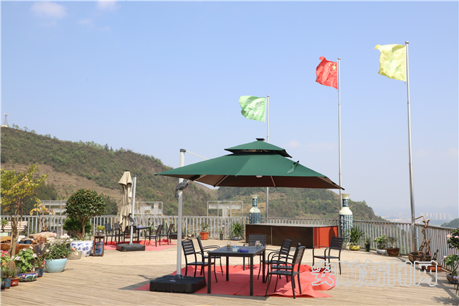 有关于普定贡达村：一片“茶叶” 托起乡村振兴新希望的资讯(5)