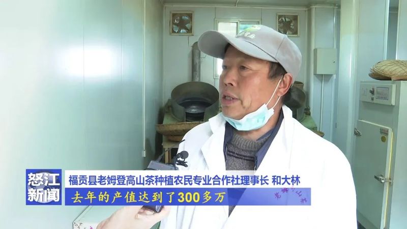 关于老姆登：春茶飘香采摘忙 茶农迎来增收季的相关信息(3)