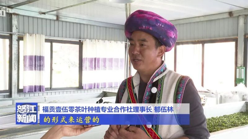 关于老姆登：春茶飘香采摘忙 茶农迎来增收季的相关信息(5)